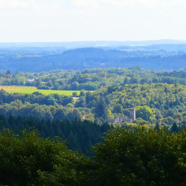 Le Grand Puyconnieux - Point de vue