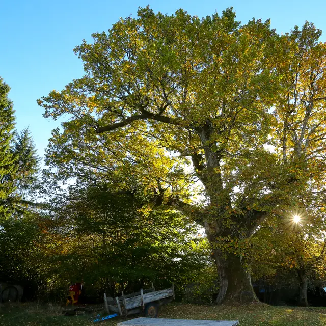 Le_jardin_nature-2016 (12)