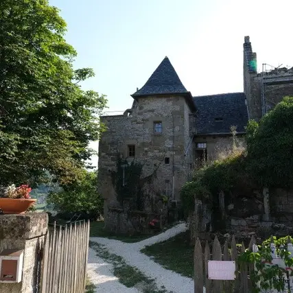 Les colombes