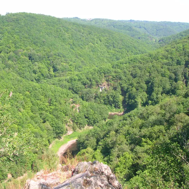 Lestranges_comcom (2)