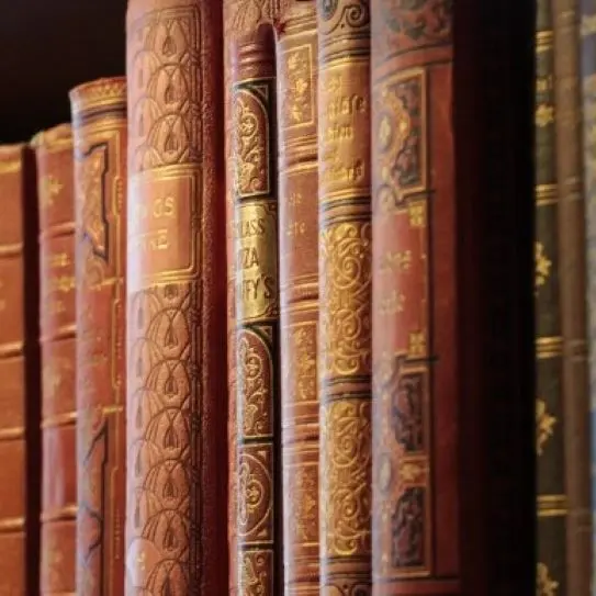 Librairie la colline aux livres