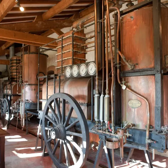 Ecomusée de l'Armagnac_1