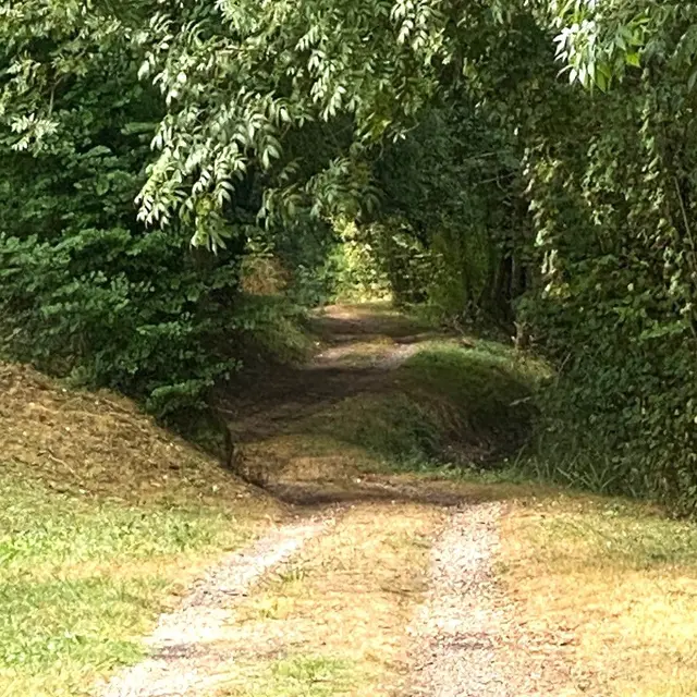 MANZAC SUR VERN-Tour du Freyrat-Chemin