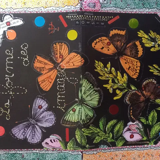 Marie-Noëlle Agniau