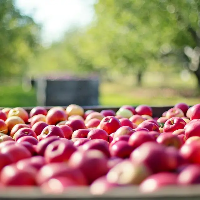 Marché d'automne