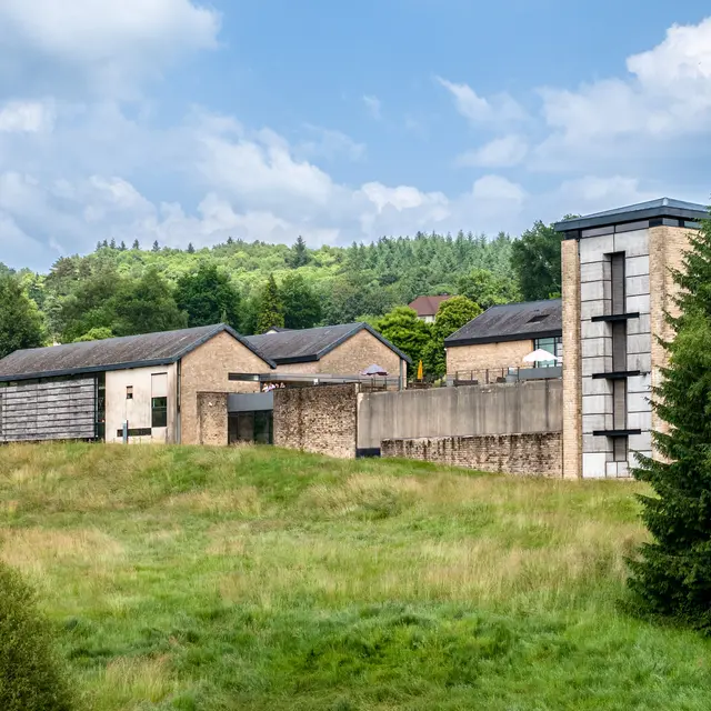 Musée du Président Chirac (12)