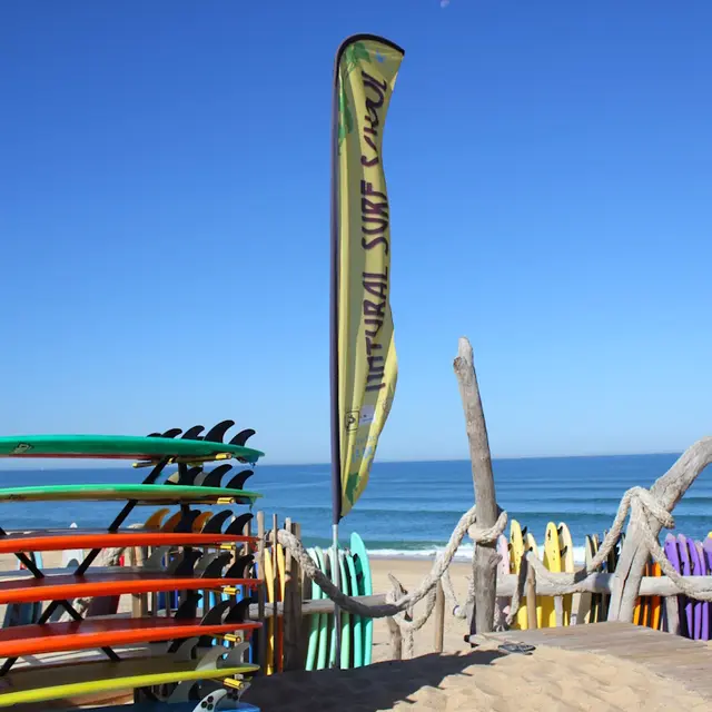 Natural Surf School 2016