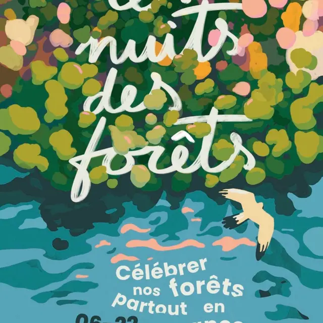Nuits des forets