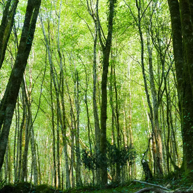 OT Vallée Vézère 2