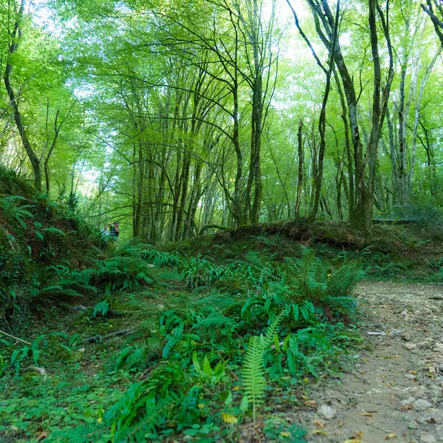 OT Vallée Vézère EyziesGorgedEnfer 9 2