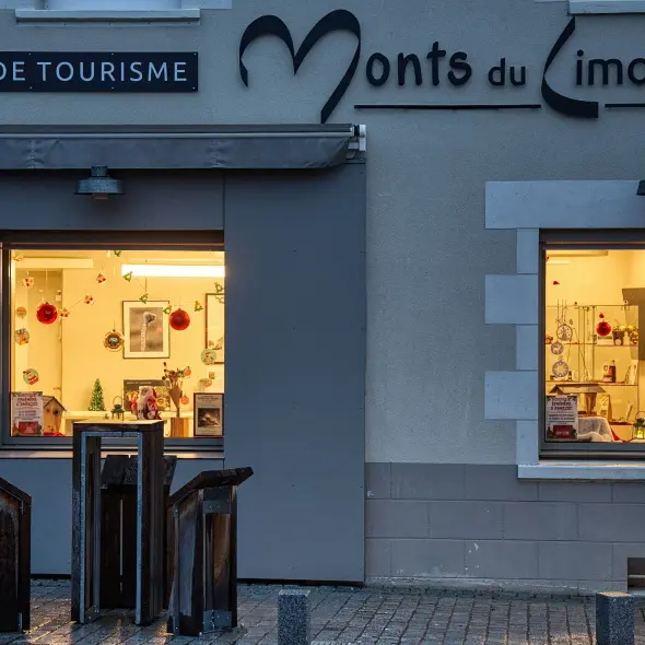 Les vitrines de Noël