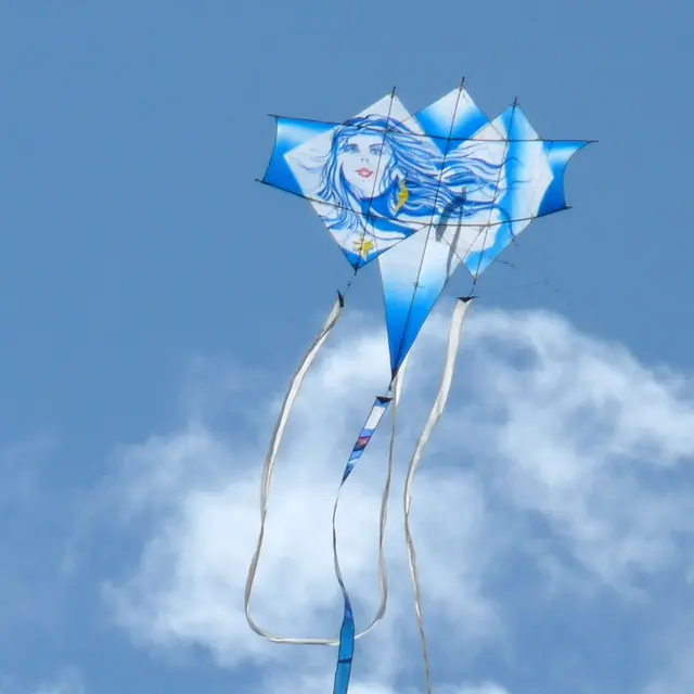 Cerf-volant suisse.