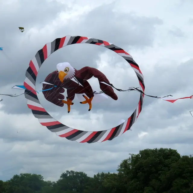 cerf-volant aigle et cv couronne