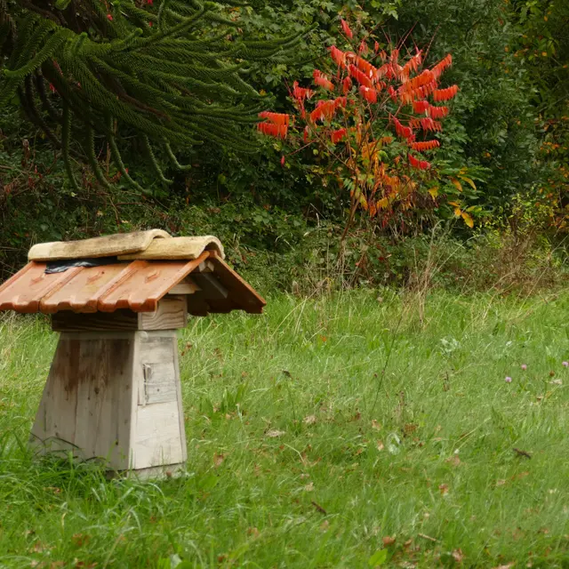 Ruche Refuge