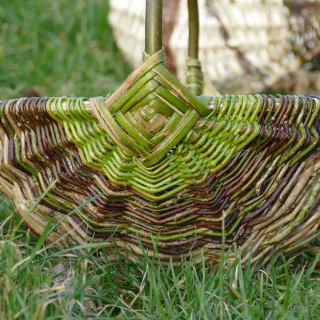 Panier sur arceaux