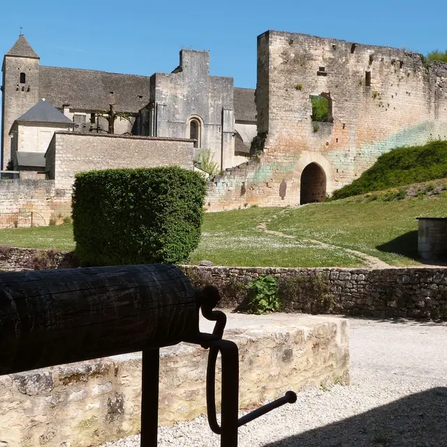PCU_Saint Amand de Coly_avril 2014©M.Gabiole  (39)