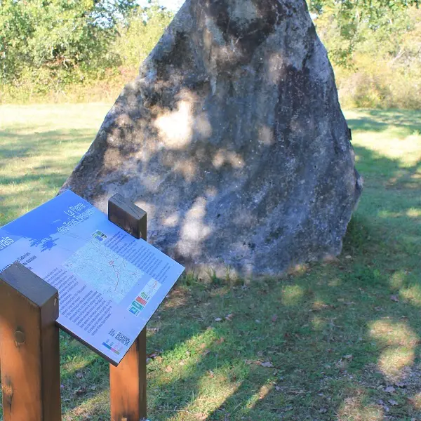 PIERRE DES TROIS EVEQUES CD24