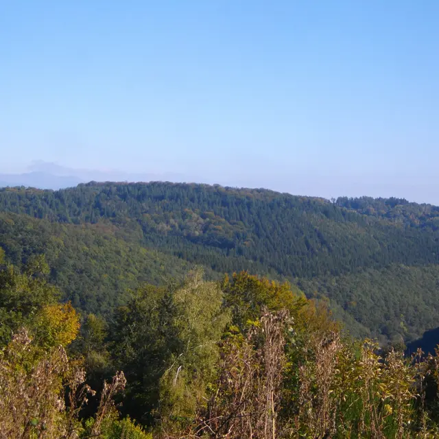 POIS2_StEtienne_Lemovices_circuit1_Chavanon_HCC_GSalat