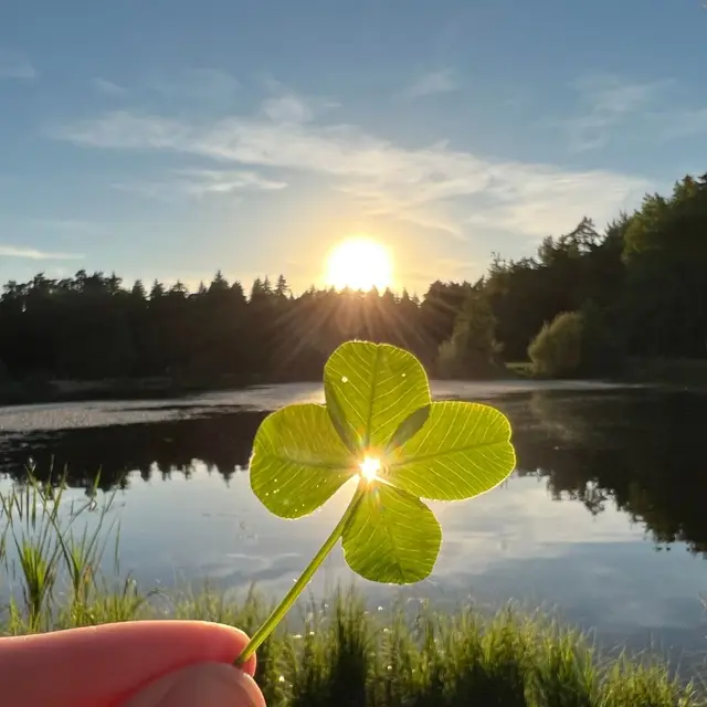 Atelier décor sur porcelaine