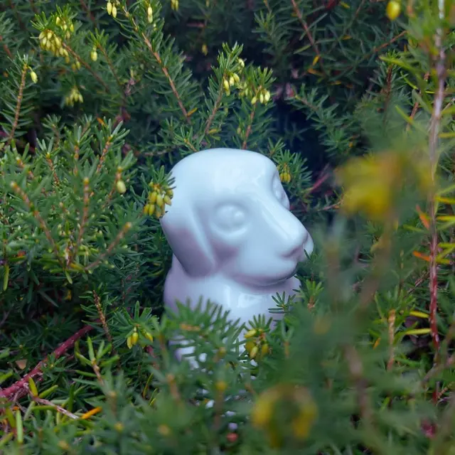 Un merveilleux jardin de porcelaine