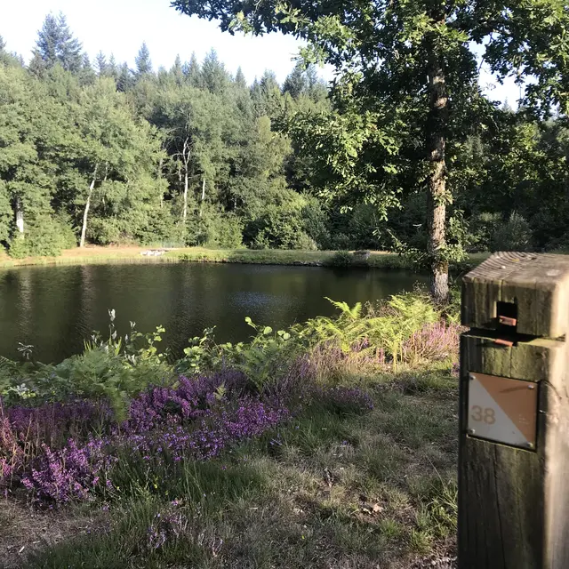 Parcours d'orientation Lignareix