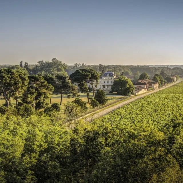 Paysage - Château Giscours