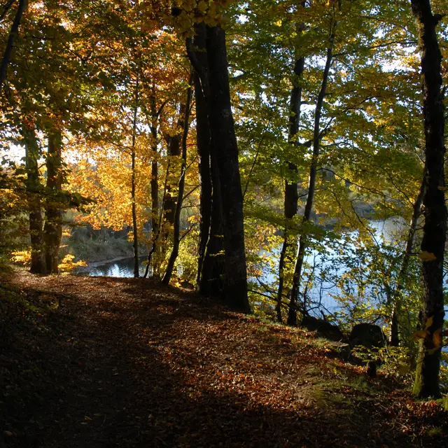 Paysage automne_JeanBoinet