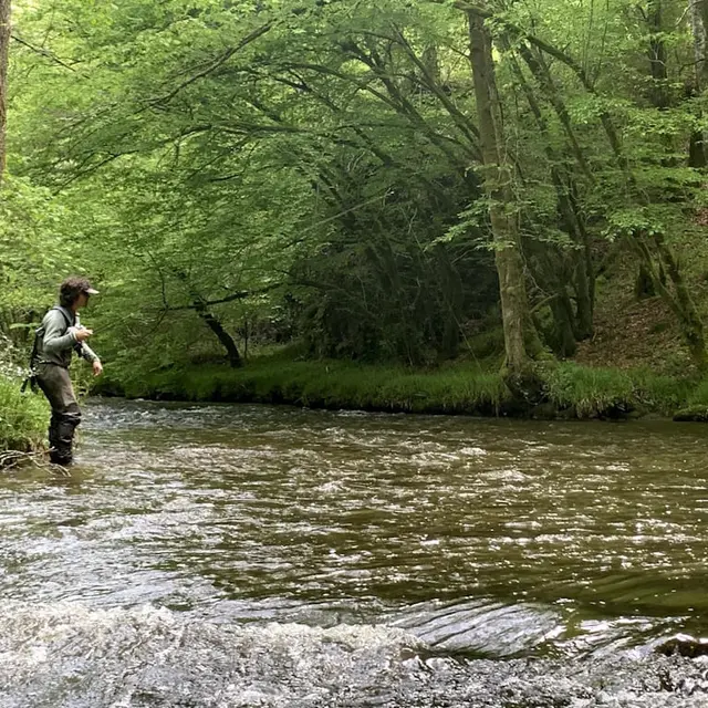 Pêche à la truite et l'ombre commun en Limousin sur la rivière Combade