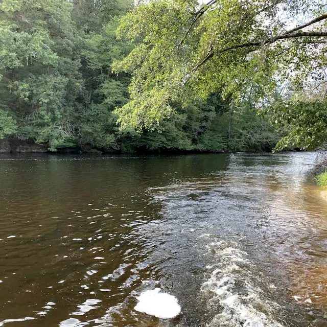 Pêche aux carnassiers cyprinidés et salmonidés en Limousin en aval du seuil du Moulin du Got