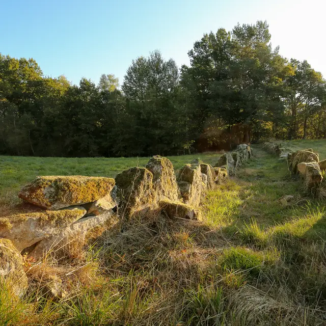 Peret_bel_air_nature-2016 (20)