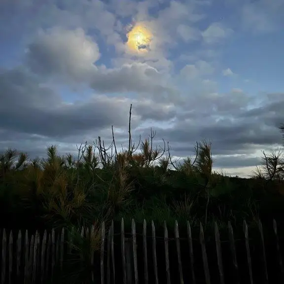 Photo vero nocturne 2