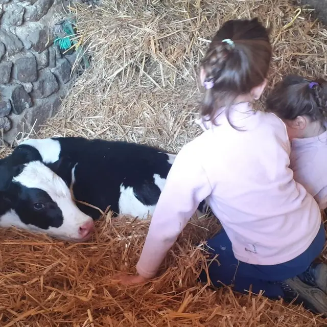 Tous à la ferme !