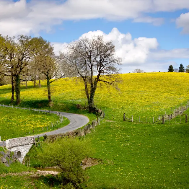 Benayes_route de Montgibaud
