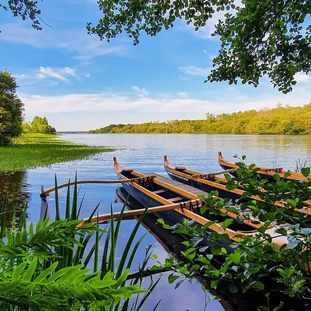 Au cœur de la nature