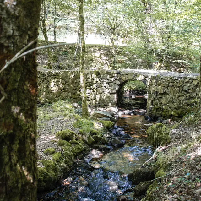 Pont Agarries (2)