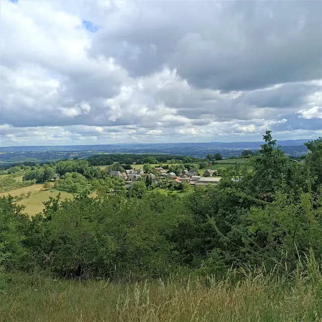 Point de vue