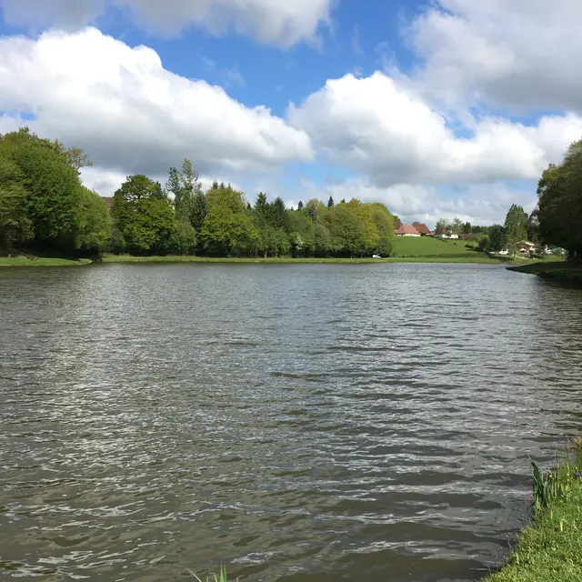 Plan d'eau de St pardoux-Corbier ©L Golfier
