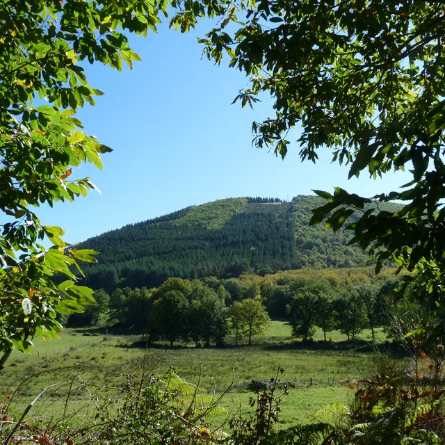Puy de la Monédière (2)