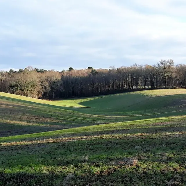 Randonnée-Rouffignac-L'Herm (1)