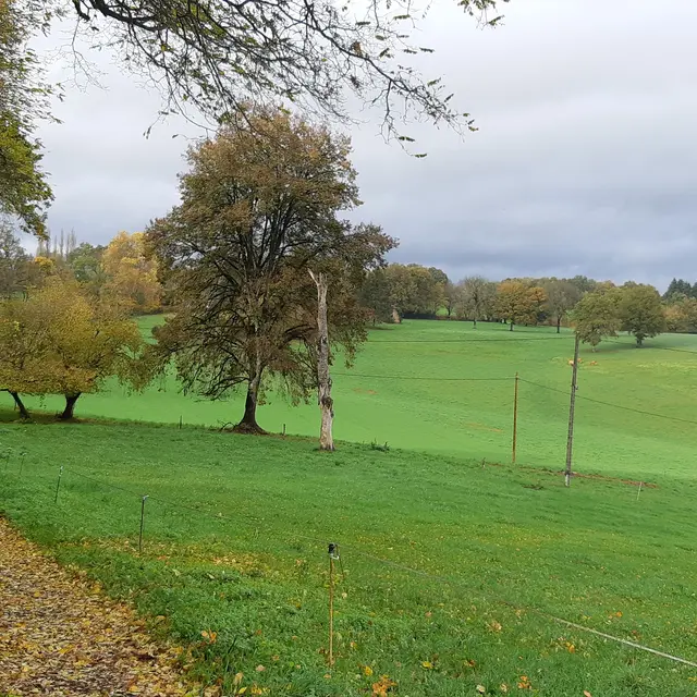 Rando du Ganaveix au Bradascou Condat sur Ganaveix ©Audrey Blanchet  (1)