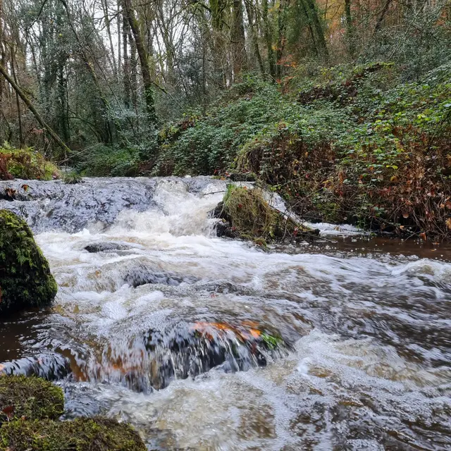 Rivière Soudaine - St-Hilaire-Les-Courbes © L Pénicaud (2)