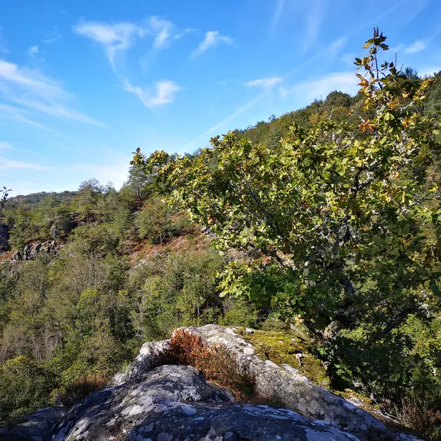 Rocher des Folles - Affieux © N jumelle (3)
