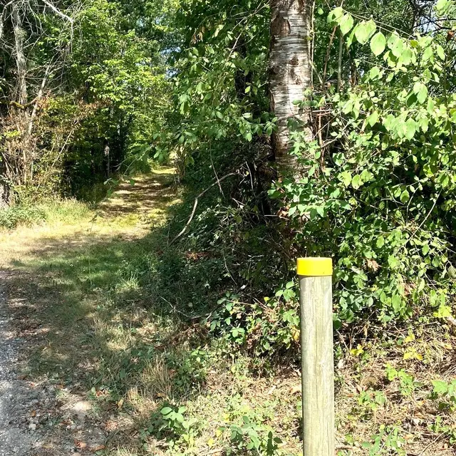 SAINT GERAC-Boucle du Plateau-Chemin