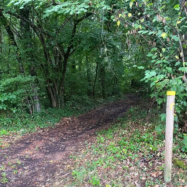 SAINT-MAYME DE PEREYROL-Boucle Saint-Maymoise-Chemin-Poteau