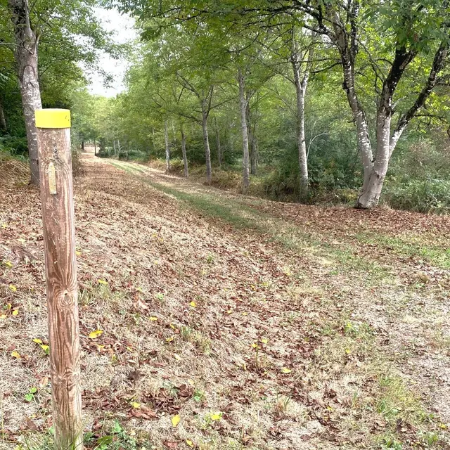 SALON-Boucle du chemin buissonnier-Chemin-Poteau