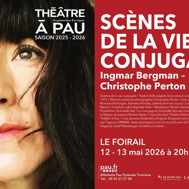 Scene_de_la_Vie_conjugale