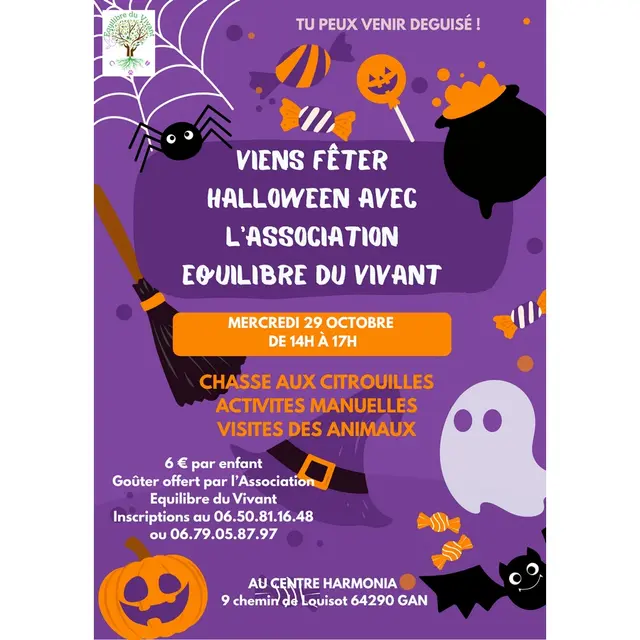 Affiche Soirée costume Halloween enfant Illustration Ludique Orange Violet (1)
