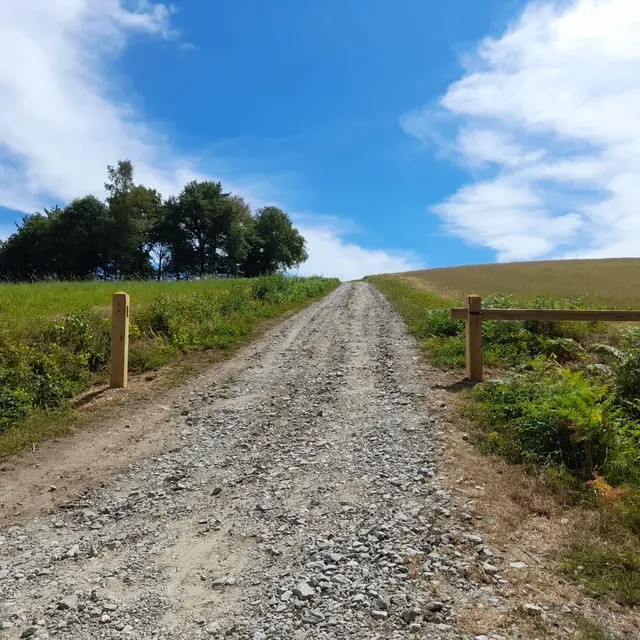 Saint-Hilaire-les-Courbes - Puy du Mas 2 © N Jumelle