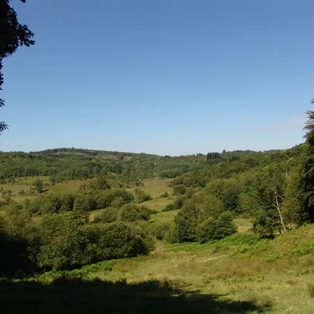 Découverte de la tourbière des Dauges