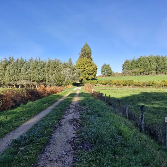 Sentiers - Circuit du bourg - Lamongerie © JL (1)